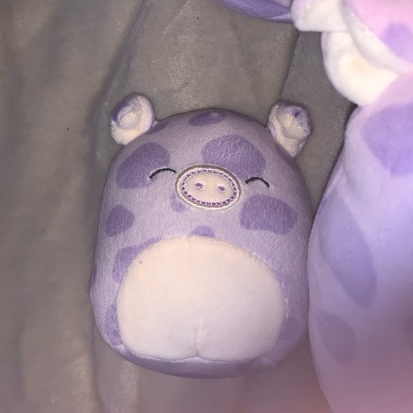 Pammy the pig squishmallow complete set of all sizes NWT - Picture 2 of 4